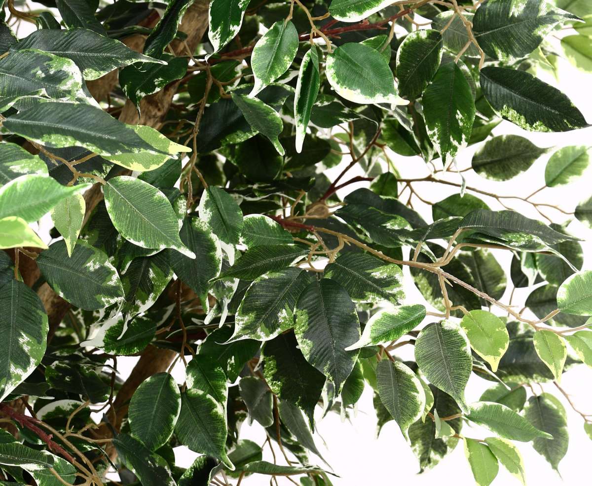 Künstlicher Ficus Benjamini – 90 Cm Hoch, Mit Topf, Kunstbaum Für Zimmerdeko