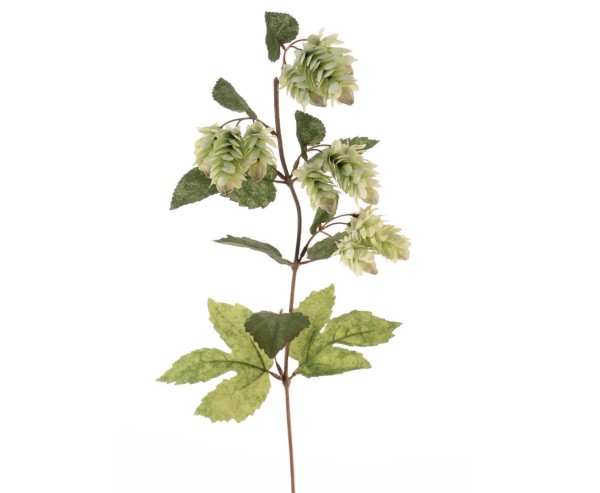 Künstlicher Hopfenzweig 68cm lang mit 12 Dolden und 12 Blättern