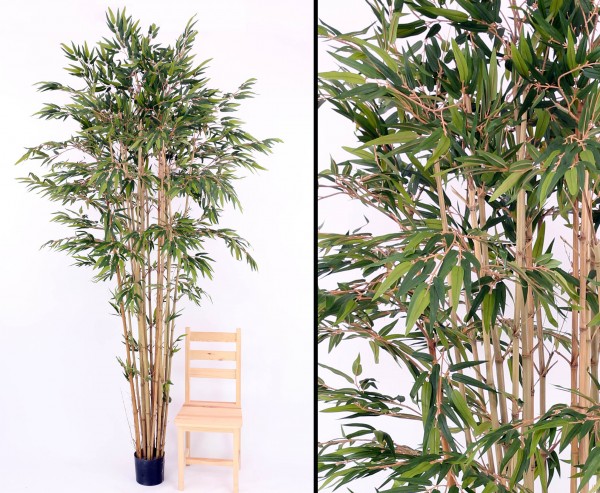Bambus mehrstämmig, Kunstbaum Höhe 270cm 