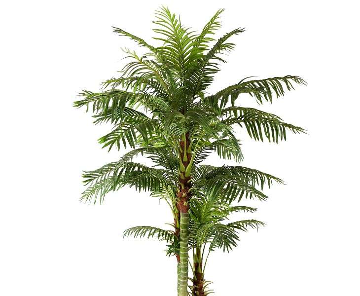 Areka Kunstpalme mit 45 Wedel und 235cm online bestellen