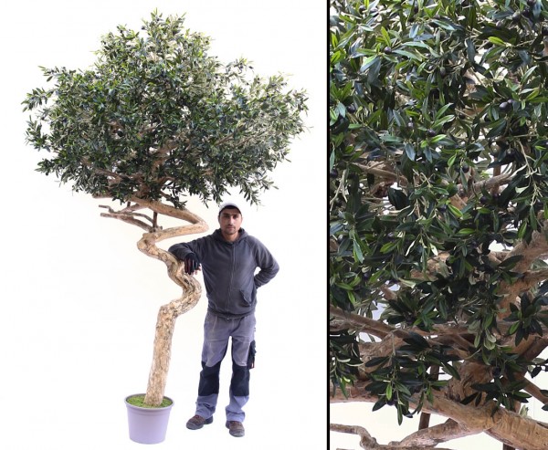 Großer Oliven Kunstbaum in Schirmform mit Höhe ca. 315cm