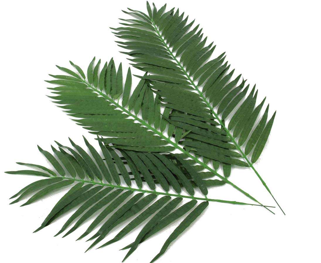 Cocos-Palmwedel mit kurzen Textilpalmwedel als 12 Set kaufen