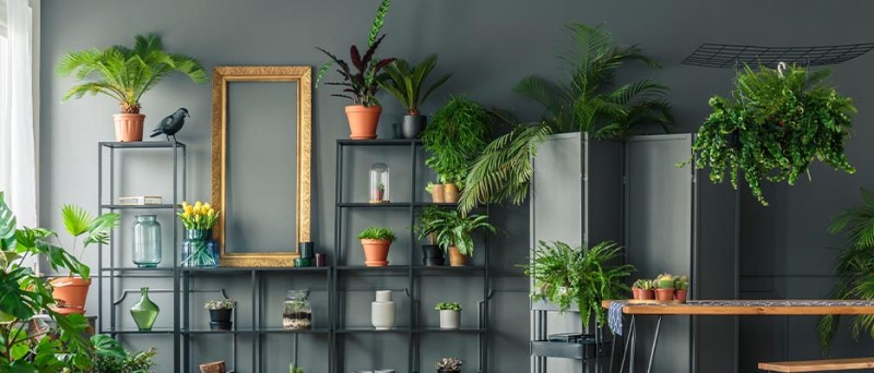 Kunstpflanzen fürs Wohnzimmer | günstig bei | Kunstpflanzen