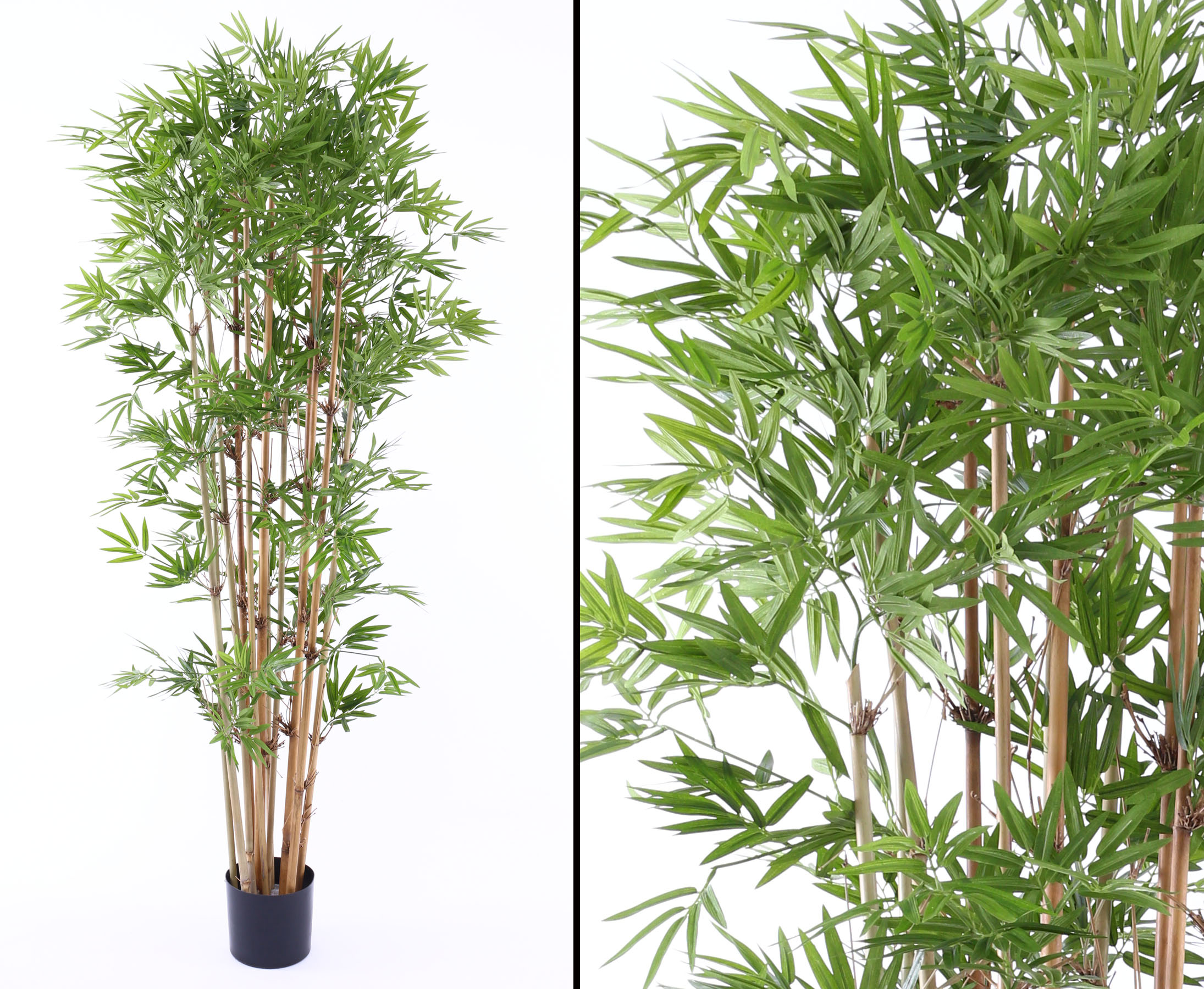 Bambus mit UV Schutz 2400 Blätter hier online bestellen