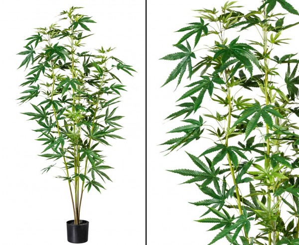 Marijuana Hanf Kunstbaum 160cm mit 5 Zweigen und Blättern im Topf