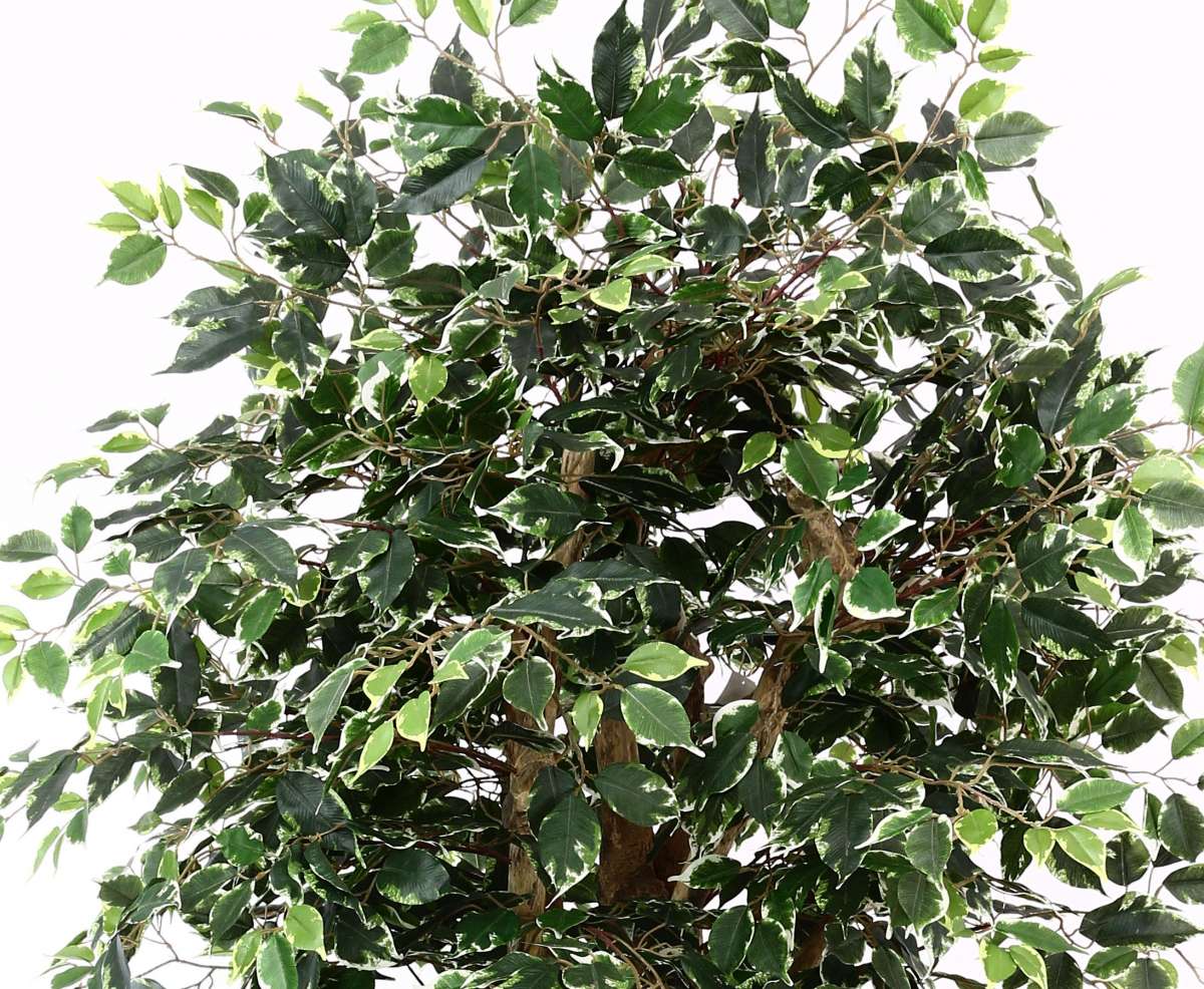 weihnachtsbaum mit beleuchtung Christbaumbeleuchtung Ring, 400 LEDs Lichterkette mit 16 tränge 1.75m Tannenbaum lichterkette, Fairy Lights Christmas LED Tree für 150cm-240cm Baum Weihnachten/Party/Hochzeit Bullfrog Flagship Store Köln