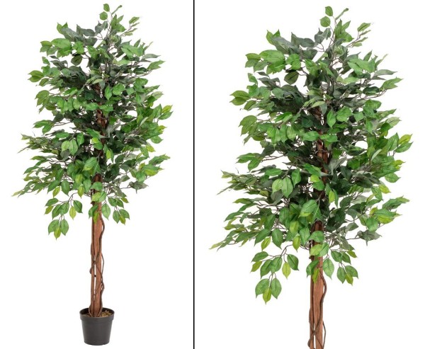 Künstlicher Ficus Benjamini 150 cm – Naturstämme, 1.116 Blätter