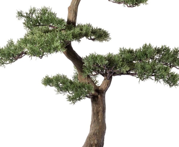 Künstlicher Teeblatt-Bonsai – Dekorativer Kunstbaum In Schale Mit Moos (23 Cm Hoch, 98 Blattzweige)