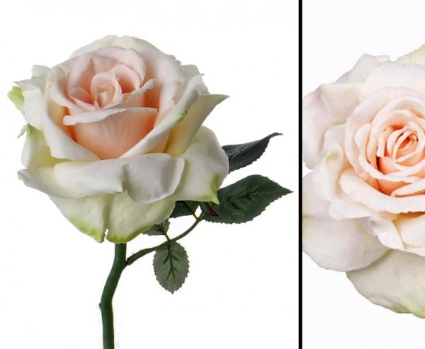 Künstliche Rose mit weißer Blüte, 31cm