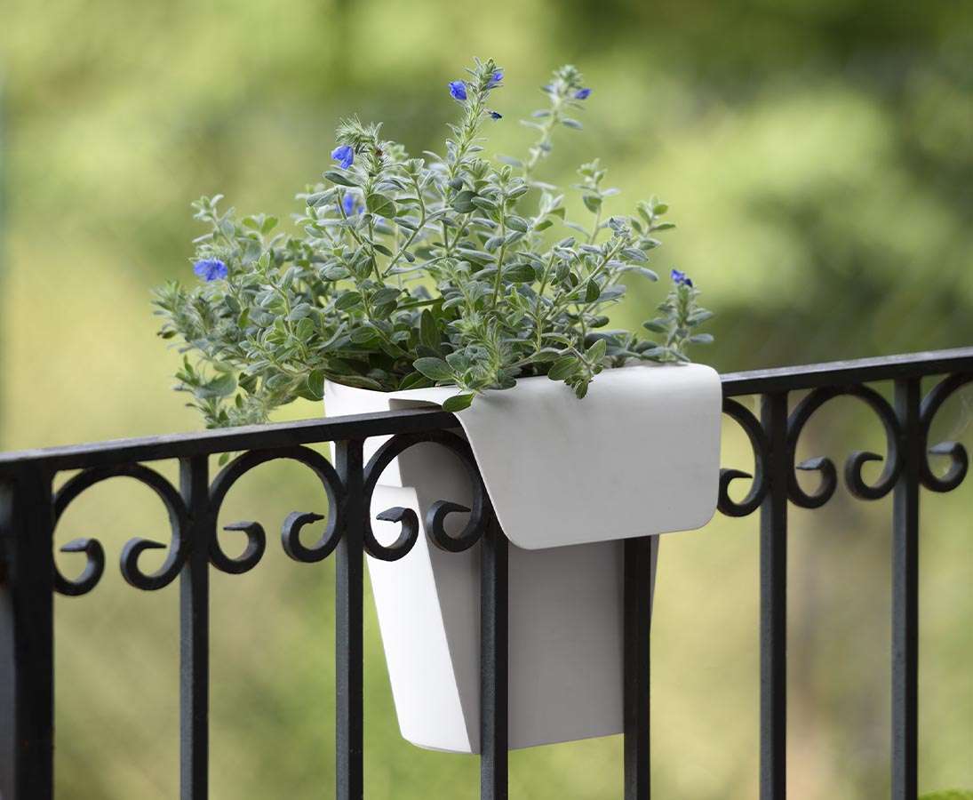 Rot Balkon Geländerkasten 25cm für Außen & Innen