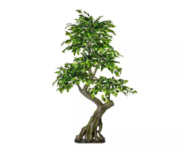 Kuenstlicher-Ficus-Waldbaum-Hoehe-170cm-auf-BodenplatteKcbTZdKMAkLQA