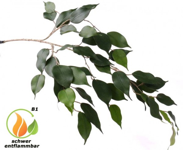 Ficus Zweig mit 43 Blätter, 70cm, schwer entflammbar