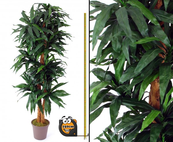 Dracena Kunstpflanze mit 210 Textilfaser Blättern grün 150cm hoch 2 Naturstämme