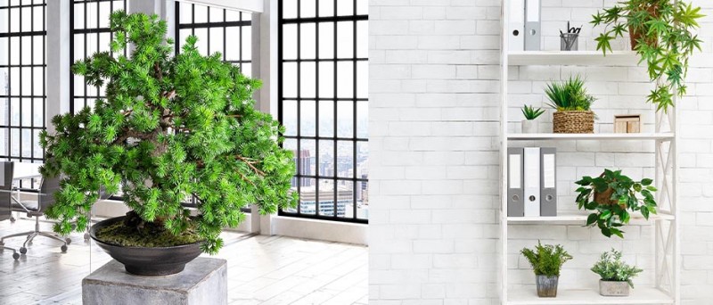 Kunstpflanzen im Büro – So verschönern Sie Ihren Arbeitsplatz