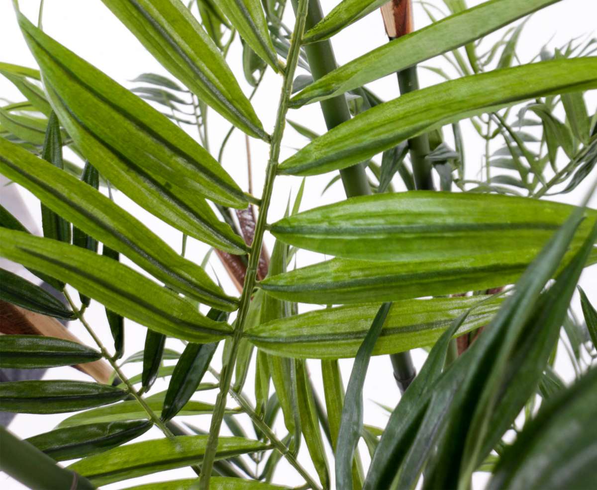 Areca Palmen künstlich mit 200cm im Kunstpflanzen Shop kaufen