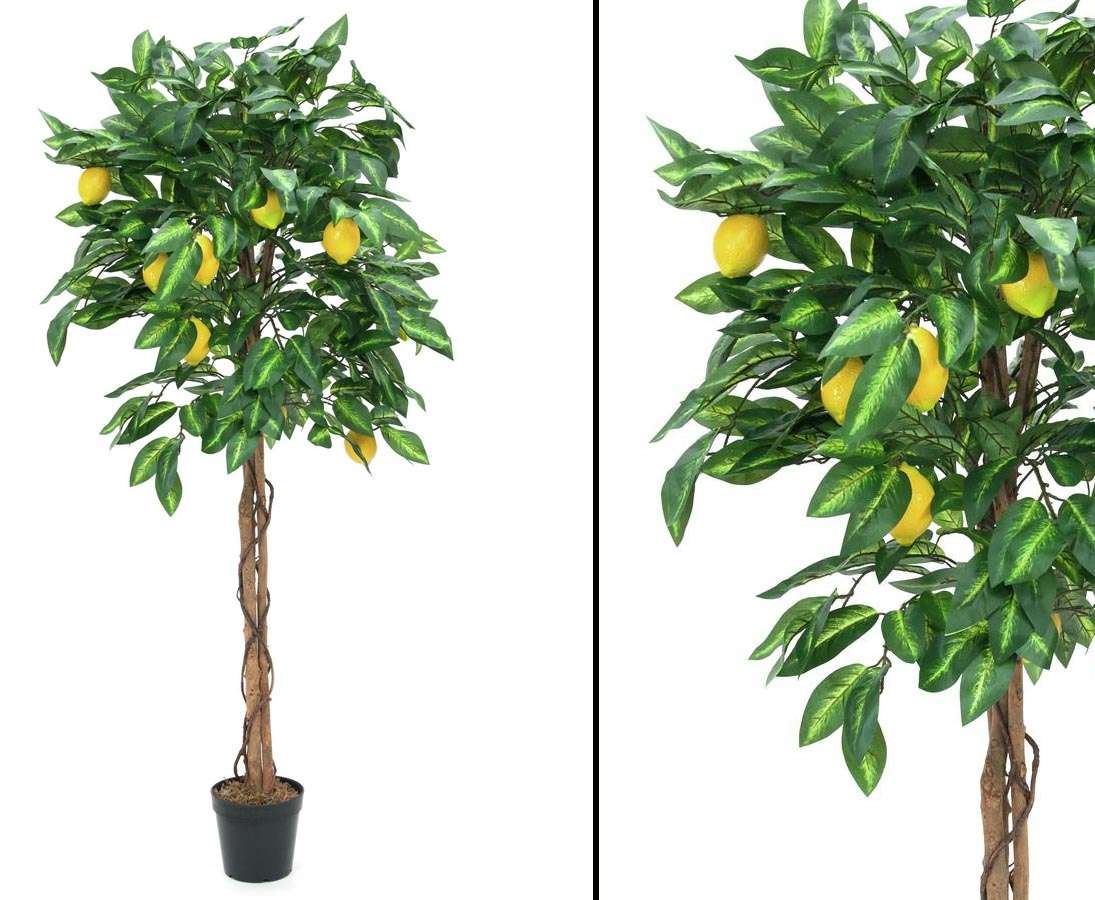 Zitronenbaum künstlich 150cm hoch günstig kaufen