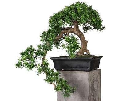 Künstlicher Bonsai: Top Auswahl