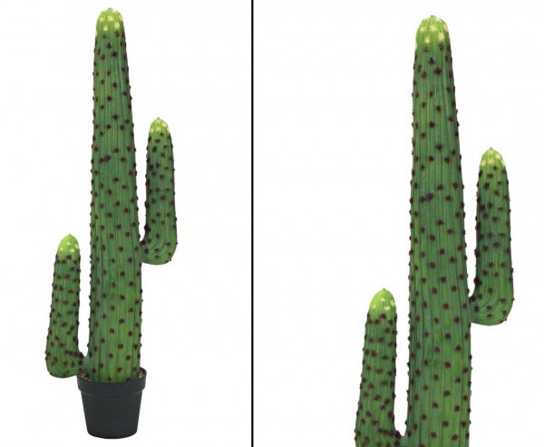 Mexikanischer Kaktus grün mit Topf und 115cm und 2 Arme
