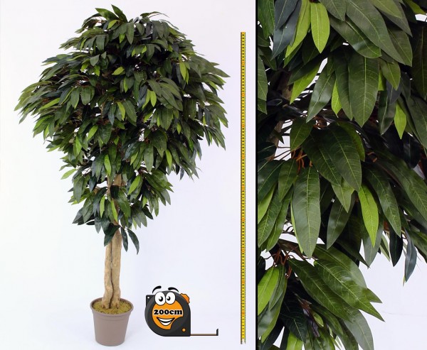 Mango Kunstbaum mit 1800 Blätter 200cm Premium Qualität
