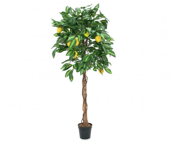 Zitronenbaum künstlich mit 1046 Blätter und 40 Früchte Höhe 180cm