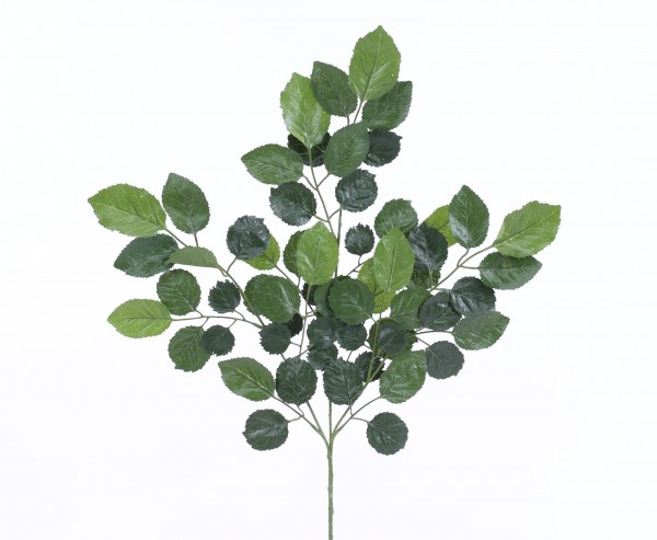 Kunstpflanzen Zweig mit schwer entflammbaren Buchenblätter 65cm