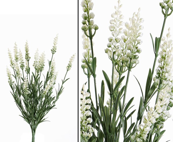 Lavendel mit 19 Blüten Rispen weiß farbig 45cm UV geschützt