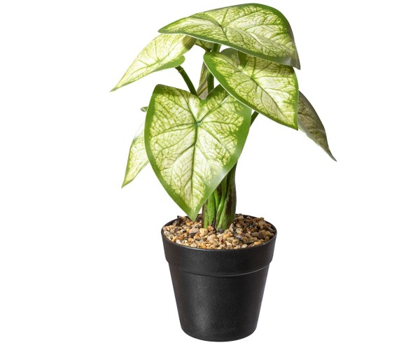 Caladium Kunstpflanze im Topf 30cm mit 9 Blätter "small green"