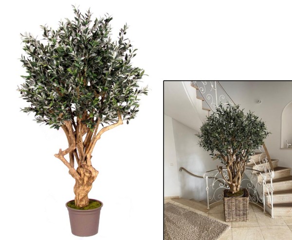 Oliven Kunstbaum mit dickem und verzweigtem Naturstamm 200cm Premium Qualität