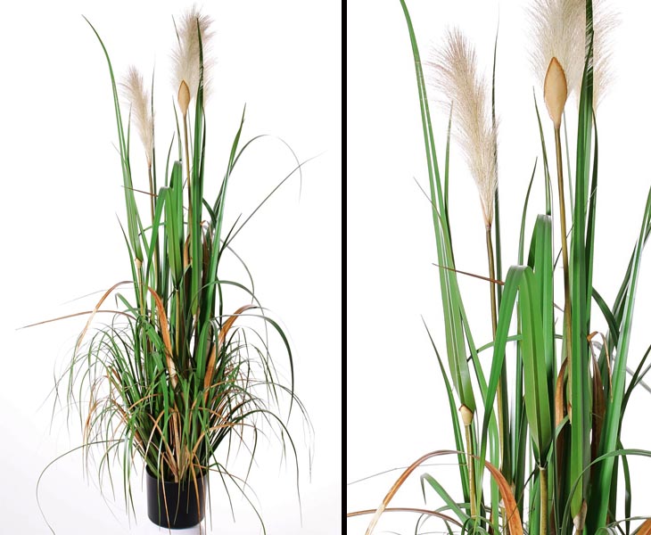 Pampas Gras Kunstpflanze blühend mit 120cm online kaufen