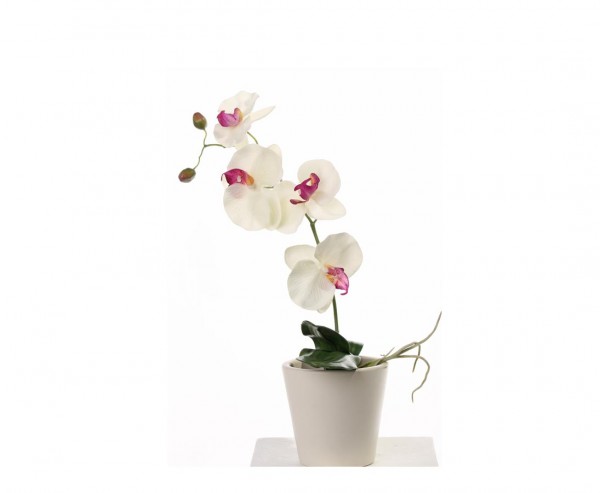 Orchidee künstlich mit 4 cremefarbige Blüten und 4 Blätter Höhe ca. 44cm
