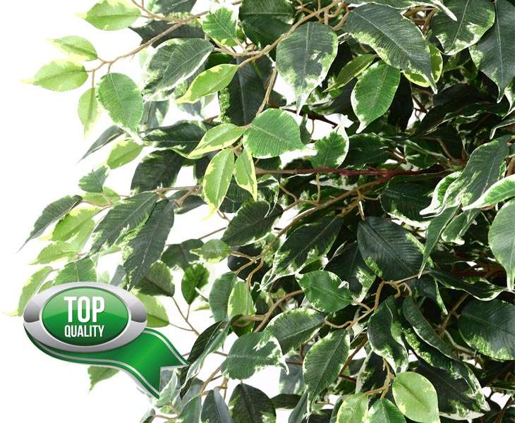 China China-Herstellerkünstlicher Ficus-Baum, Große Im Freien