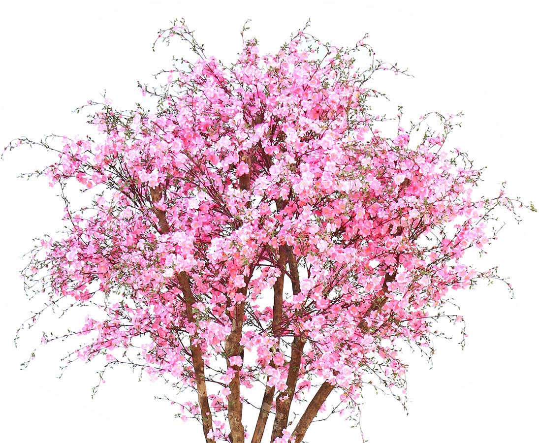 mit rosa Pfirsichblüten 300cm farbig kaufen Künstlicher Baum