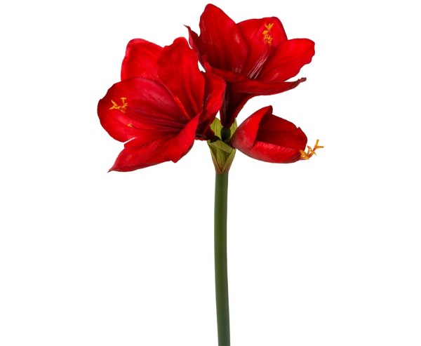 Künstliche Amaryllis rot 68 cm, Real Touch Kunstblume