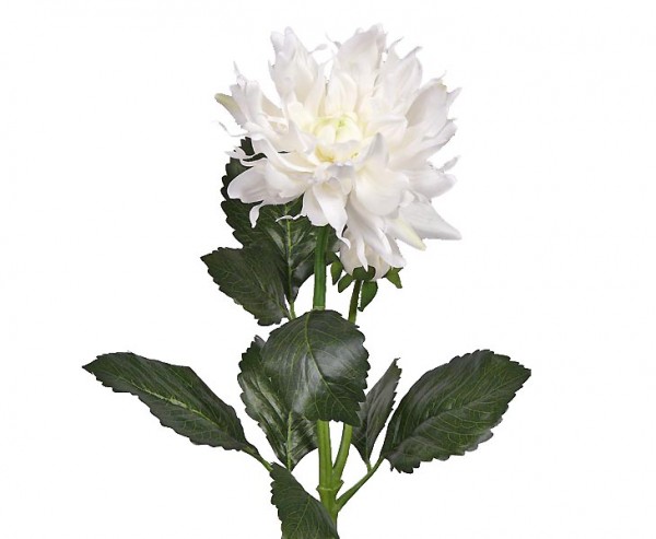 Kunstblume Dahlie Blüte und Knospe weiß Länge 75cm
