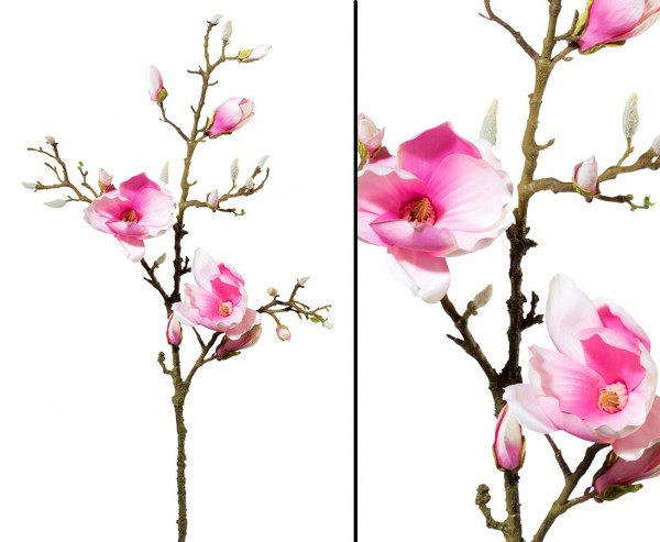 Magnolia Zweig 100cm mit 2 offenen und 7geschlossenen Blüten rosa farbig