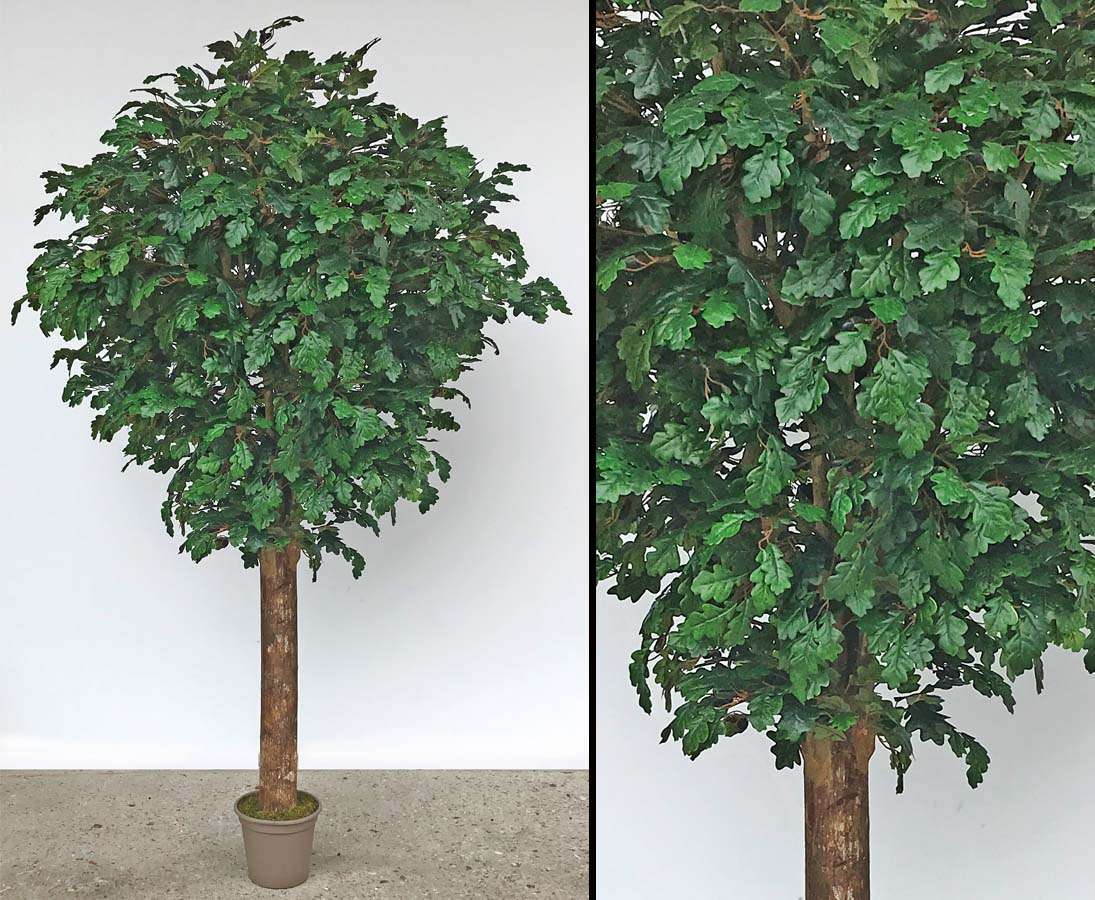 Eichen Kunstbaum mit 240cm und 3140 Blätter hier günstig kaufen