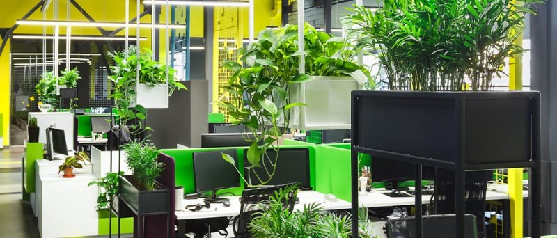 Ihren Kunstpflanzen Arbeitsplatz So verschönern Sie Büro im –