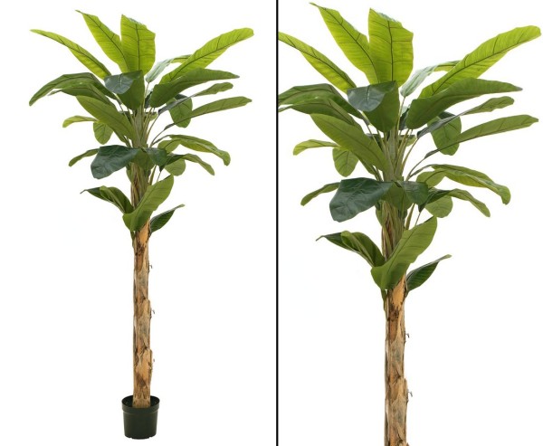 Bananenbaum Deko Pflanze mit 15 Blättern Höhe ca. 210cm