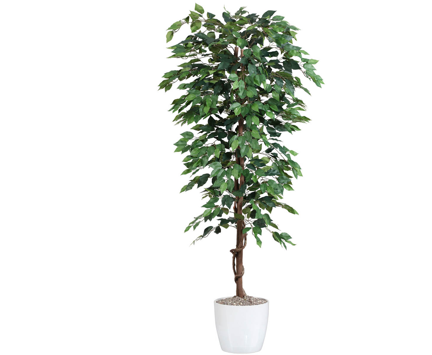 Kunstbäume Ficus Benjamini grün 150cm hier online kaufen