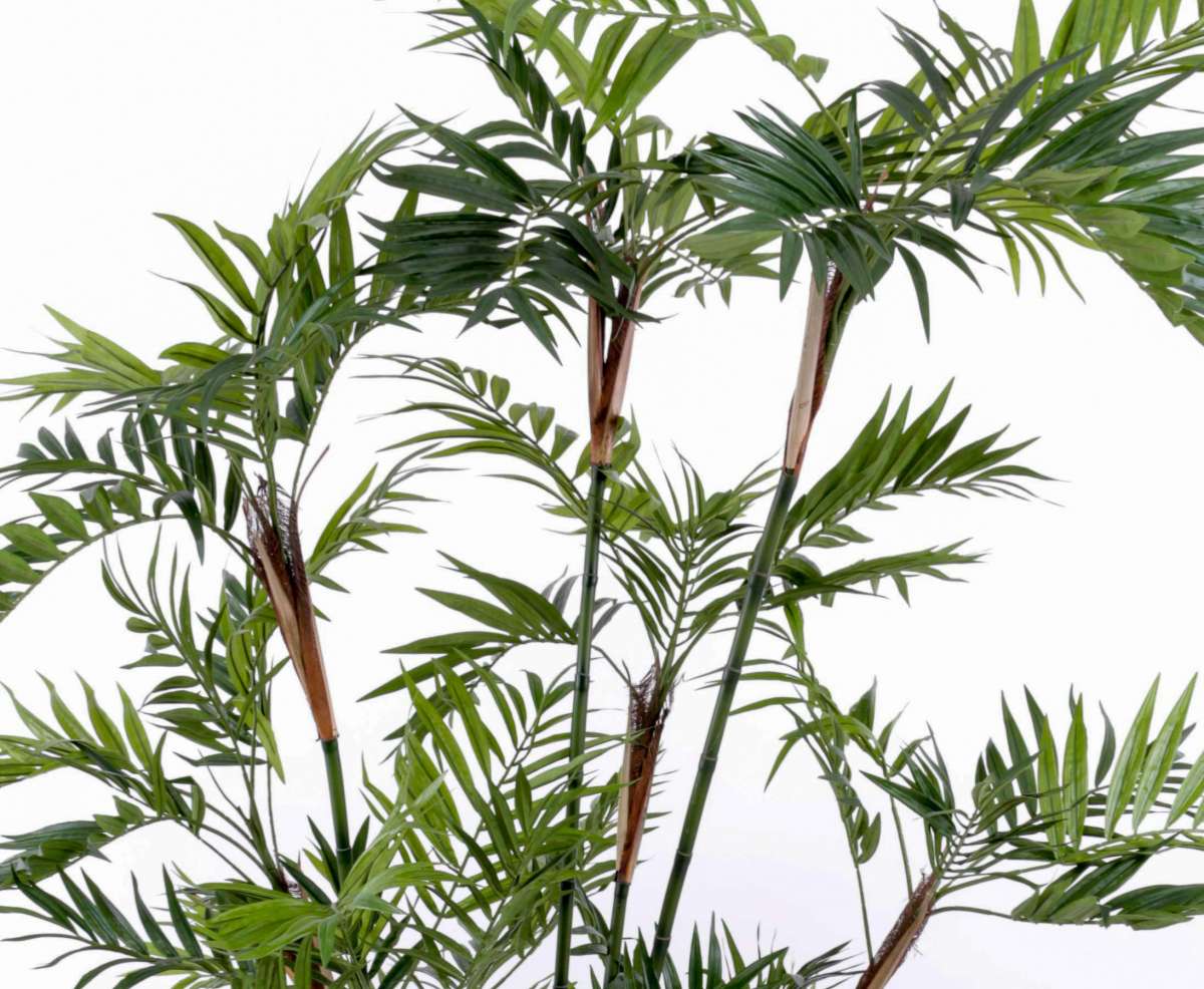 Areca Palmen künstlich mit 200cm im Kunstpflanzen Shop kaufen
