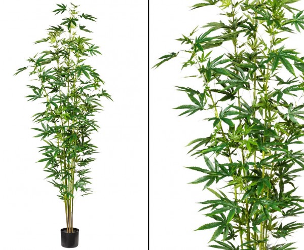 Marihuana Cannabis Kunstbaum 230cm mit 7 Zweigen und Blättern im Topf