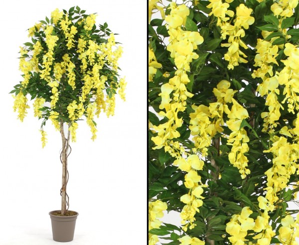 Goldregenbaum künstlich mit gelben Blüten 180cm im Zementtopf