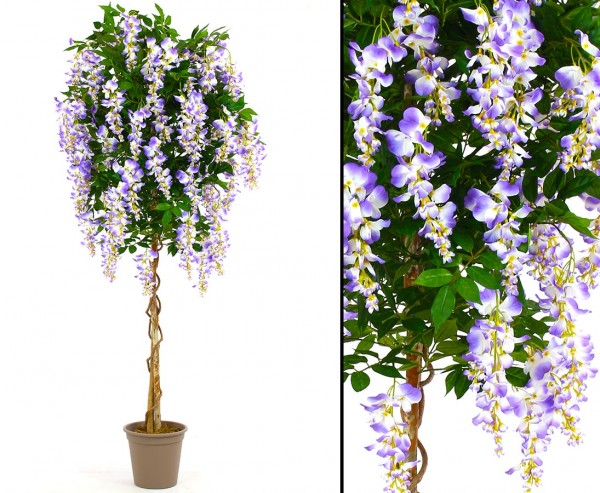 Kunstbaum Goldregen in Premium Qualität mit violetten Blüten 180cm im Zementtopf
