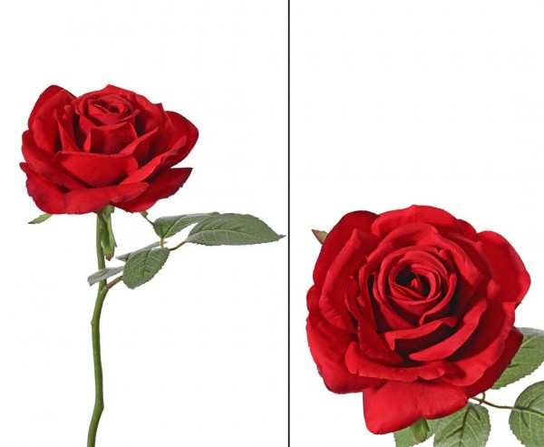Rote Kunstblumen Rose mit offener Blüte 12cm Länge 30cm