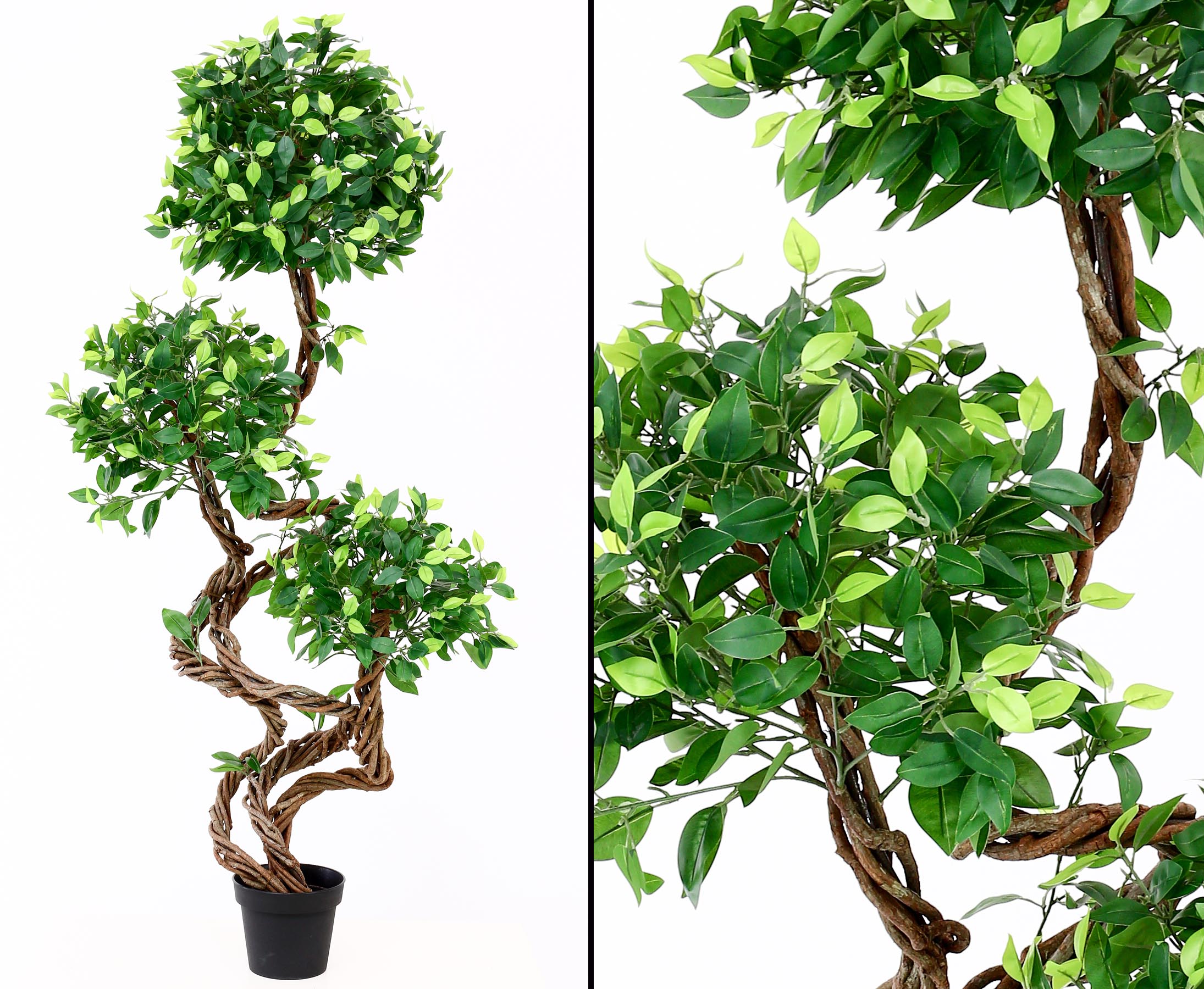 Preiswerte Ficus Kunstbäume mit Spiralstamm jetzt bestellen