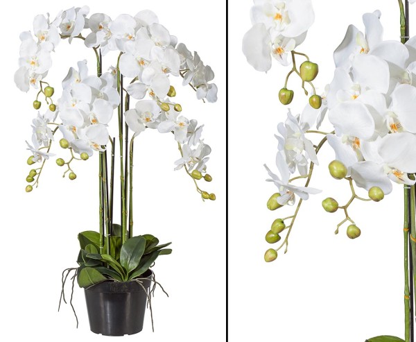 Orchideen Kunstblume mit 6weiß farbigen Blütenzweigen 96cm im Topf