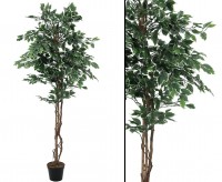 Künstlicher Ficus Benjamini, 150 Cm Hoch – Naturgetreue Kunstpflanze Mit Echten Holzstämmen & über 1000 Blättern, Im Zementtopf