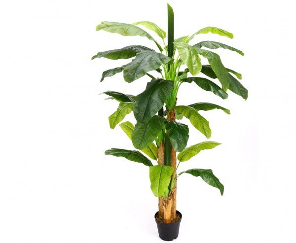 Künstlicher Bananen Baum mit 33 Blätter aus PEVA Höhe ca. 220cm