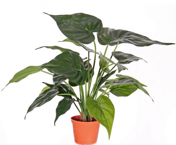 Pfeilblatt Alokasie Kunstpflanze mit 24 Blätter im Topf Höhe 51cm
