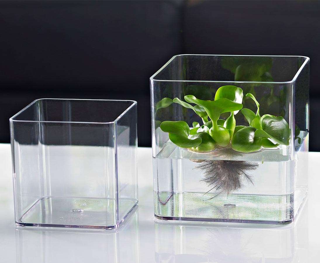 Günstige Blumenvase transparent mit 11cm hier kaufen